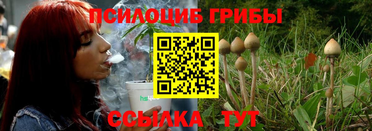 Псилоцибиновые грибы GOLDEN TEACHER Бахчисарай
